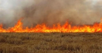 ANIZ YAKANA DEKAR BAŞINA 244 LİRA CEZA!