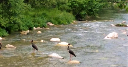 KARALEYLEKLER KANLIÇAY’I MESKEN TUTTU 