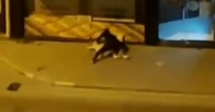 SOKAK ORTASINDA KADINA ŞİDDET