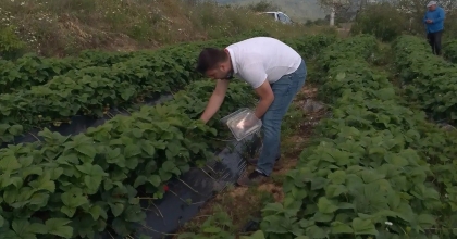 HASAT ÖNCESİ SON KONTROL