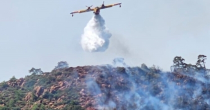 ORMAN YANGINIYLA İLGİLİ BİR KİŞİ GÖZALTINDA