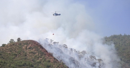 ​​​​​​​ORMAN YANGINIYLA İLGİLİ GÖZALTINA ALINAN ŞAHIS SERBEST BIRAKILDI