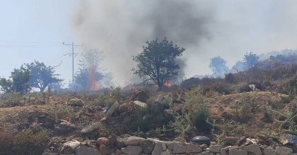 BODRUM'DA MAKİLİK ALANDA YANGIN 