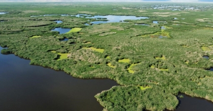 EBER GÖLÜ KURURSA TESCİLLİ MANDA KAYMAĞI ÜRETİMİ TEHLİKEYE GİRECEK 