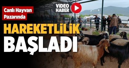 CANLI HAYVAN PAZARINDA HAREKETLİLİK BAŞLADI  