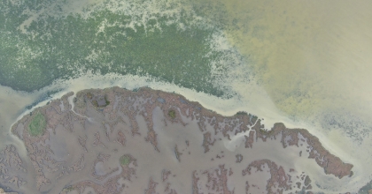 İZMİR KÖRFEZİ CAN ÇEKİŞİYOR  