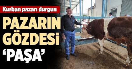 KURBAN PAZARI DURGUN