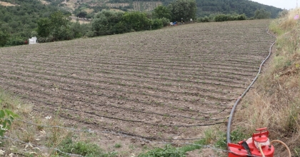 MANİSA BÜYÜKŞEHİR BELEDİYESİ SULAMA SEZONUNU AÇTI