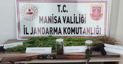 MANİSA'DA 45 KÖK KENEVİR VE 30 GRAM ESRAR ELE GEÇİRİLDİ 