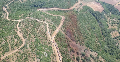 MANİSA'DA ORMAN YANGINI