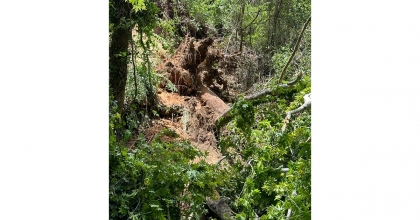SEYDİKEMER’DE ÜZERİNE AĞAÇ DEVRİLEN TURİST ÖLDÜ