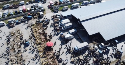 ŞUHUT KURBAN PAZARINDA HAREKETLİLİK BAŞLADI