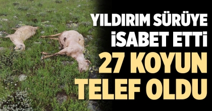YILDIRIMIN İSABET ETTİĞİ SÜRÜDEKİ 27 KOYUN TELEF OLDU