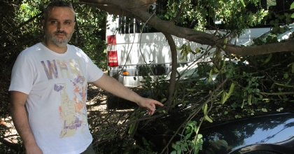 ÇÜRÜYEN AĞAÇ ARACIN ÜZERİNE DEVRİLDİ