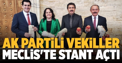 AK PARTİLİ VEKİLLER MECLİS'TE STANT AÇTI