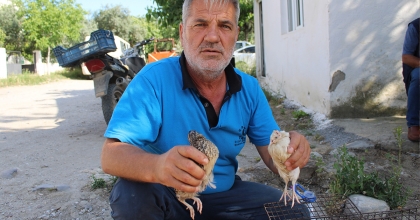 BILDIRCIN ÜRETİCİLERİNDEN CEZAİ İŞLEM ŞİKAYETİ