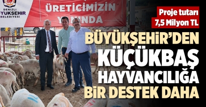 BÜYÜKŞEHİR’DEN KÜÇÜKBAŞ HAYVANCILIĞA BİR DESTEK DAHA