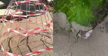 CARETTA CARETTA’LARIN YENİ YUVASI DİDİM