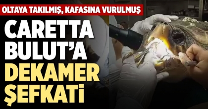 CARETTA BULUT’A DEKAMER ŞEFKATİ