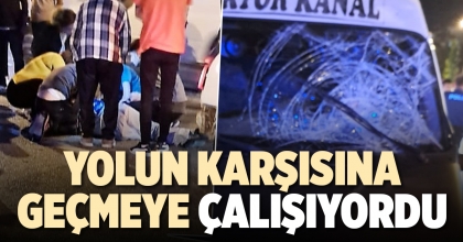 YOLUN KARŞISINA GEÇMEYE ÇALIŞIYORDU