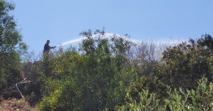 DİDİM’DEKİ YANGIN KORKUTTU