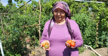  AYDIN’DA YAĞIŞLI HAVALAR DOMATESİ VURDU