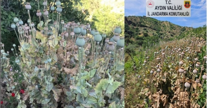 YASADIŞI EKİME JANDARMA BASKINI