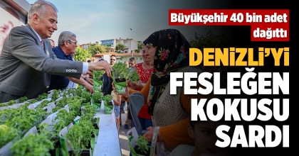 DENİZLİ’Yİ FESLEĞEN KOKUSU SARDI