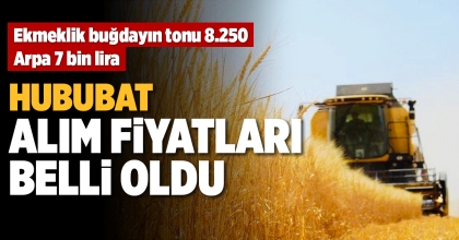 HUBUBAT ALIM FİYATLARI BELLİ OLDU