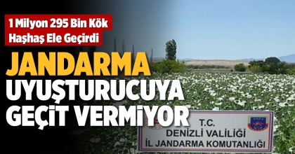 JANDARMA UYUŞTUCUYA GEÇİT VERMİYOR