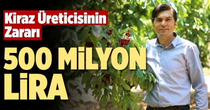 Kiraz Üreticisinin Zararı: 500 MİLYON LİRA
