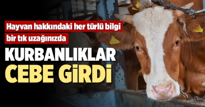 KURBANLIKLAR CEBE GİRDİ