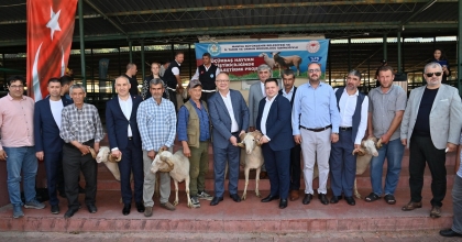 BAŞKAN ERGÜN DAMIZLIK KOÇLARI HAYVAN YETİŞTİRİCİLERİNE TESLİM ETTİ  