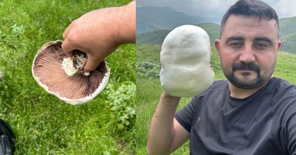 DEV MANTARIN GÖRÜNTÜSÜ HAYRETE DÜŞÜRDÜ