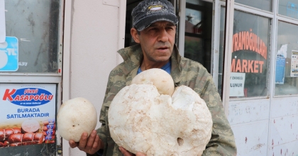 3 KİLOGRAMLIK MANTAR BULDU