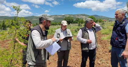 ORMANLARDAN KALİTELİ AĞAÇ TOHUMU ELDE EDİLİYOR
