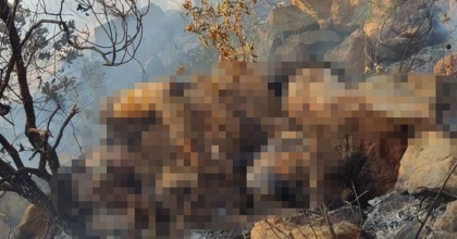 ORMAN YANGININDA BULUNAN CESET BELÇİKA VATANDAŞI ÇIKTI