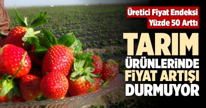 TARIM ÜRÜNLERİNDE FİYAT ARTIŞI DURMUYOR