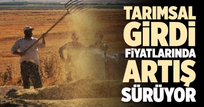TARIMSAL GİRDİ FİYATLARINDA ARTIŞ SÜRÜYOR