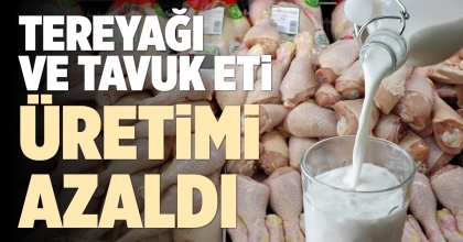 TEREYAĞI VE TAVUK ETİ ÜRETİMİ AZALDI