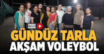 GÜNDÜZ TARLA AKŞAM VOLEYBOL