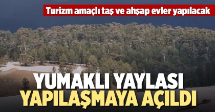 YUMAKLI YAYLASI YAPILAŞMAYA AÇILDI