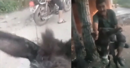 EŞEĞE EZİYET ETMİŞTİ, BİR AY BARINAK TEMİZLEYECEK