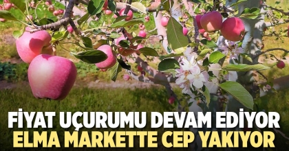 ELMA MARKETTE CEP YAKIYOR