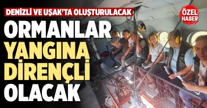 ORMANLAR YANGINA DİRENÇLİ OLACAK