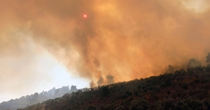 160 HEKTAR ALANI TORPİLLE YAKMIŞ