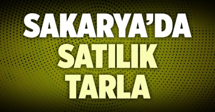 Sakarya Satılık Tarla İlanı
