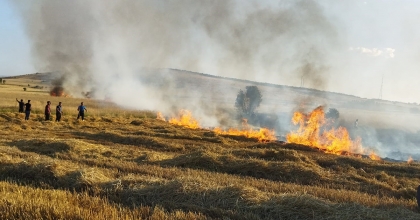 İKİ AYRI NOKTADA ÇIKAN YANGINDA 30 DEKAR MAHSUL HEBA OLDU