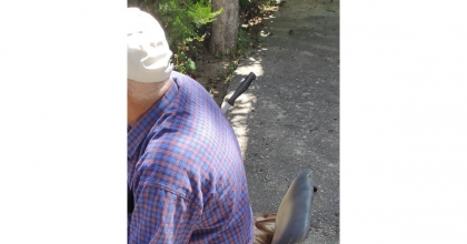 AFYONKARAHİSAR'DA DEHŞETE DÜŞÜREN FOTOĞRAF   