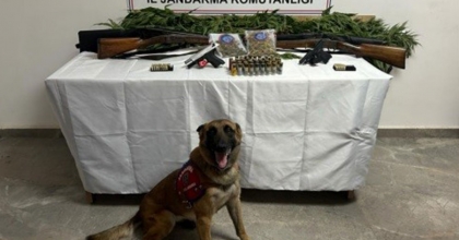 AFYONKARAHİSAR'DA EVİNİN BAHÇESİNE KENEVİR EKEN ŞAHISLAR YAKALANDI